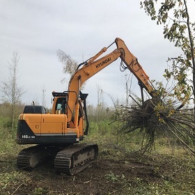 Site Clearance